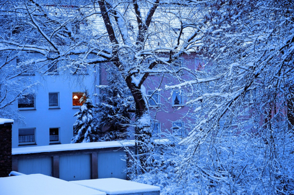 A tree covered in snow in front of some garages and a building 